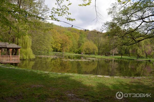 Замок графа Шенборна (Украина, Закарпатская обл.) фото