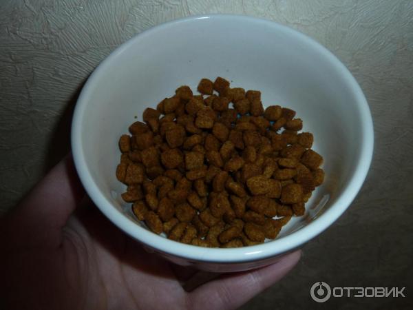 Сухой корм для кошек Purina Pro Plan Urinary фото