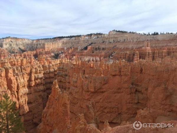 Национальный парк Брайс Каньон (США, Юта) фото