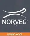 менеджер Norveg