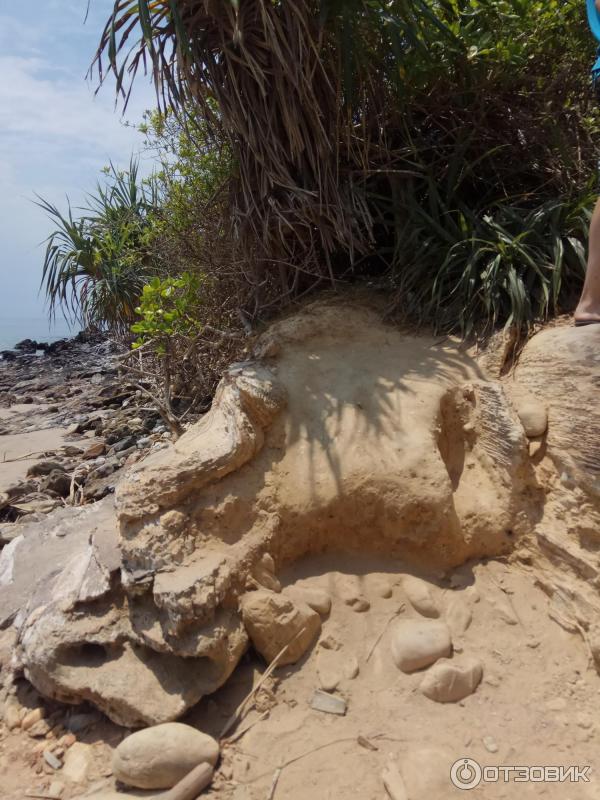 Национальный парк Mu Koh Lanta (Тайланд, Ланта) фото