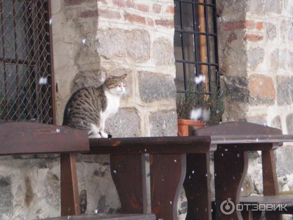 Экскурсия в Рильский монастырь (Болгария) фото