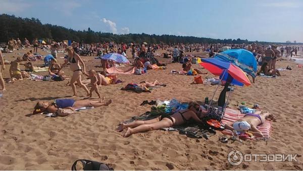 Пляж Ласковый (Россия, Санкт-Петербург) фото