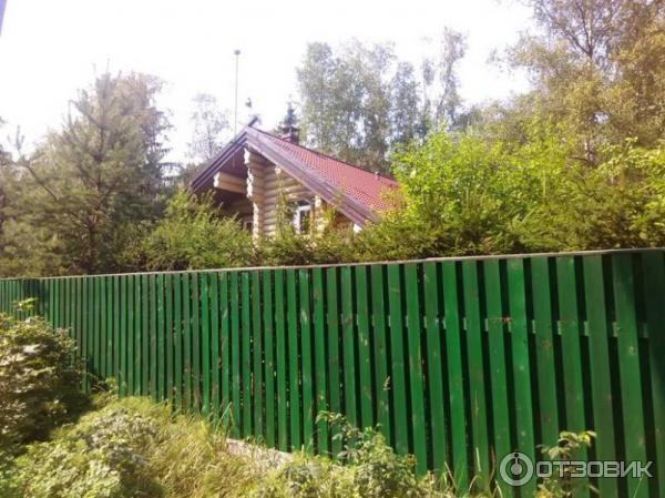 Пляж Ласковый (Россия, Санкт-Петербург) фото