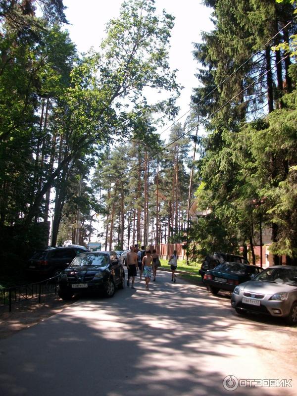 Пляж Ласковый (Россия, Санкт-Петербург) фото