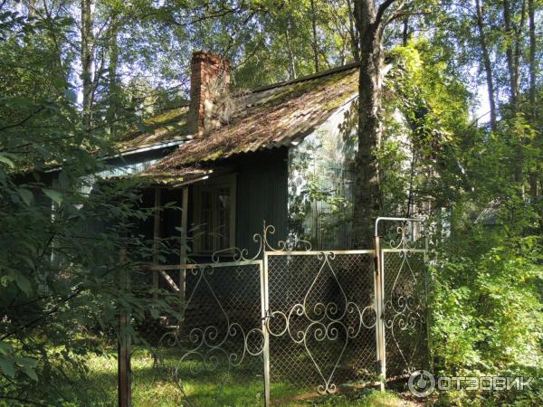 Пляж Ласковый (Россия, Санкт-Петербург) фото