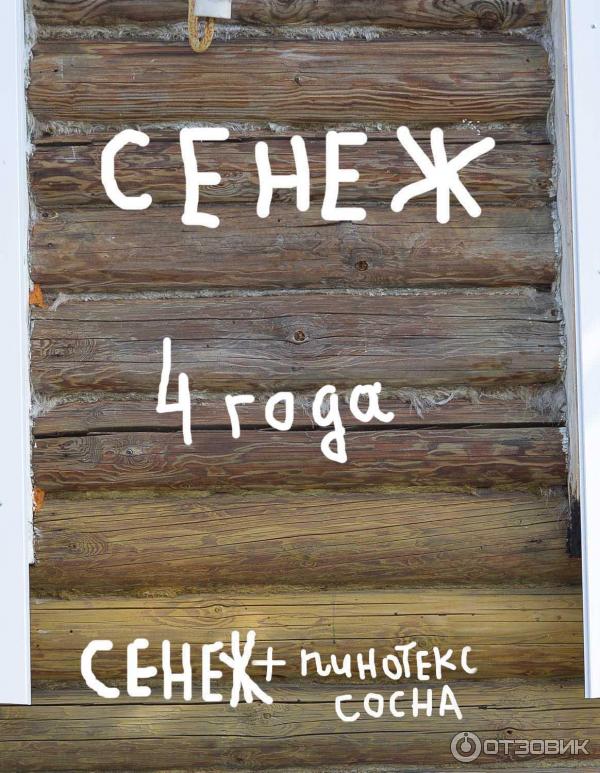 Антисептик Сенеж Трудновымываемый консервирующий