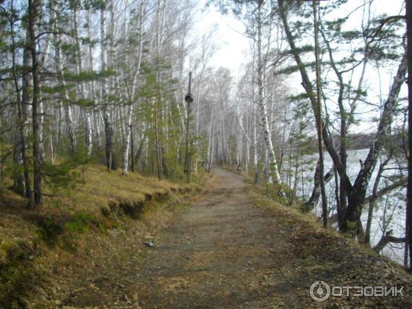 лесная дорожка