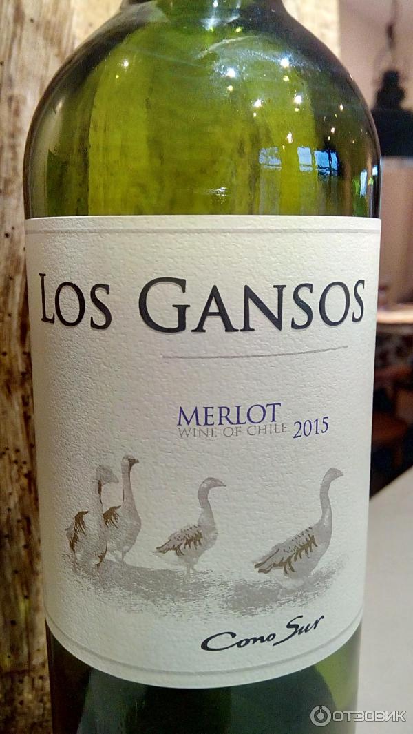 Вино красное сухое Los Gansos Merlot 2015 фото