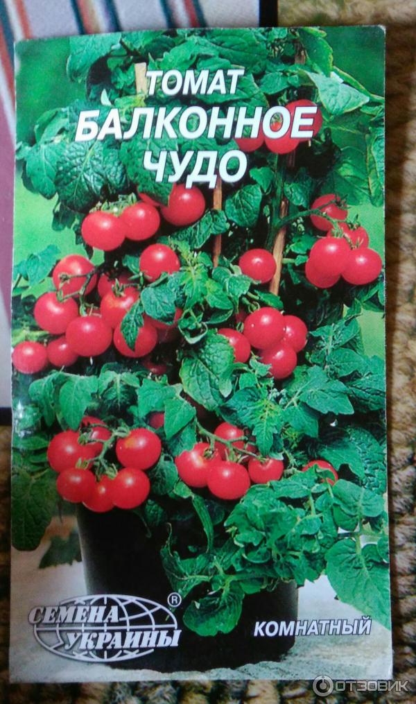 Балконное Чудо Помидоры Купить Семена В Москве