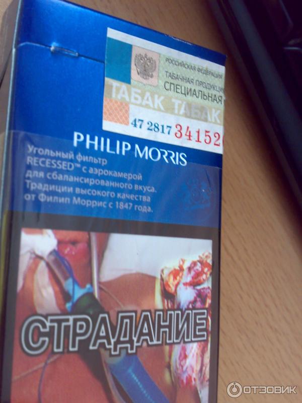 Филип моррис синие. Philip Morris Signature Expert.