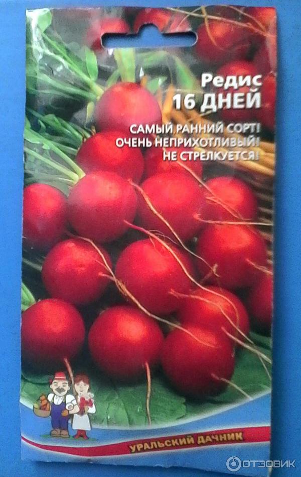 Уральские семена отзывы. Редис 16 дней Уральский Дачник. Уральский Дачник семена редиса. Редис Уральский экспресс Уральский Дачник. Уральский Дачник интернет магазин семена.