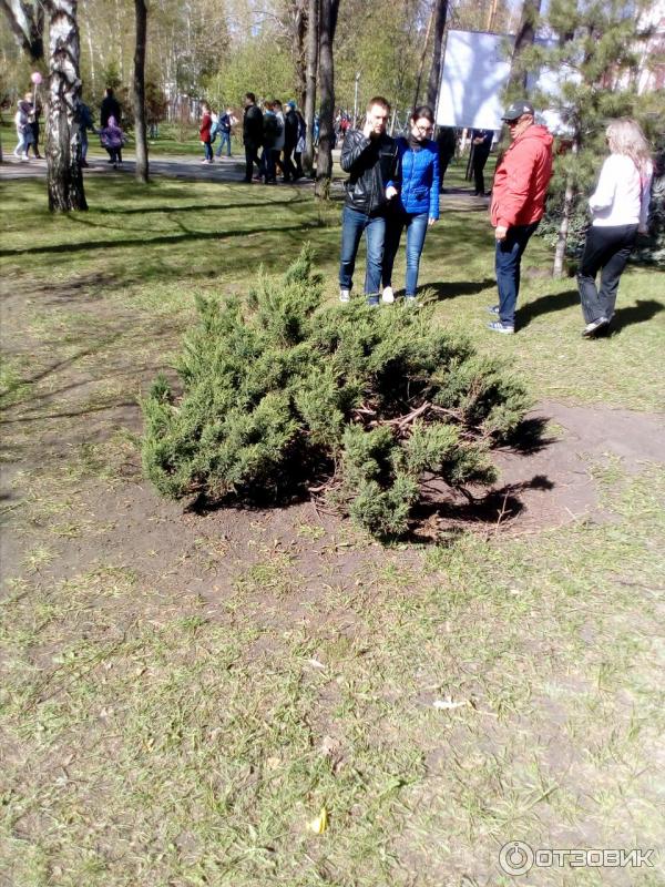 Первомайский сквер (Россия, Новосибирск) фото