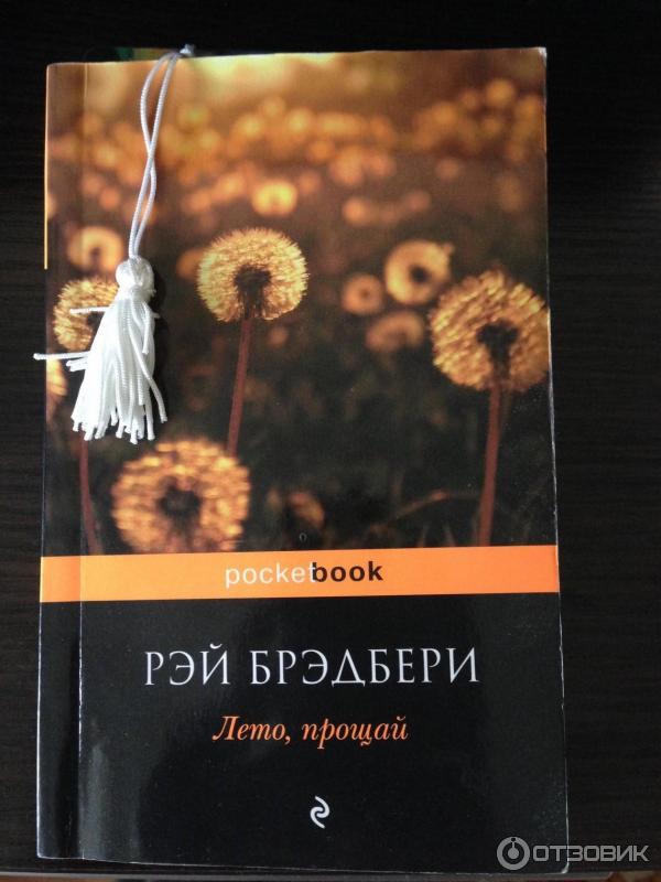 Все лето в один день брэдбери кратко. Книга все лето в один день.