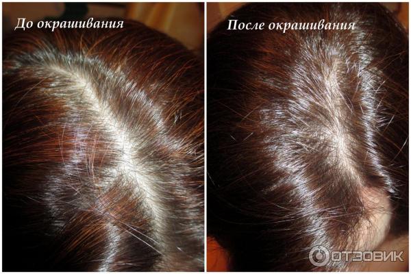 Краска-мусс для волос Schwarzkopf Perfect Mousse фото