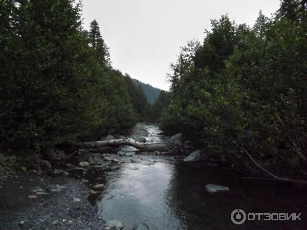 Экскурсия на Альпийские луга (Абхазия, Гудаутский район) фото