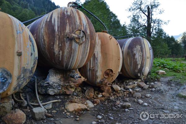 Экскурсия на Альпийские луга (Абхазия, Гудаутский район) фото