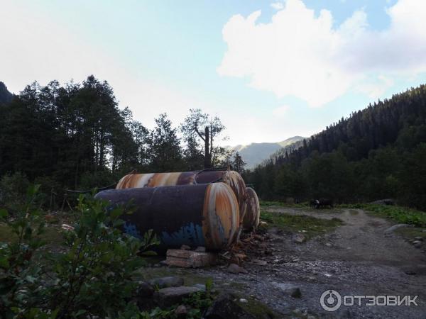 Экскурсия на Альпийские луга (Абхазия, Гудаутский район) фото