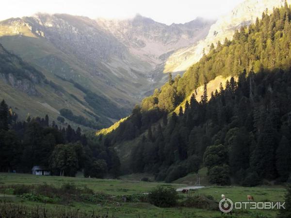 Экскурсия на Альпийские луга (Абхазия, Гудаутский район) фото