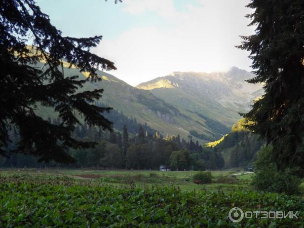 Экскурсия на Альпийские луга (Абхазия, Гудаутский район) фото