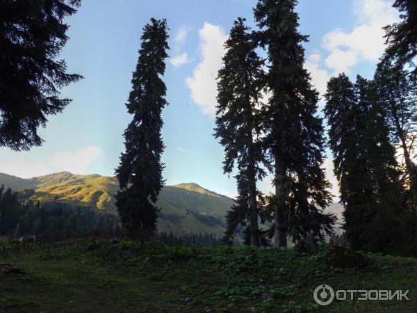 Экскурсия на Альпийские луга (Абхазия, Гудаутский район) фото