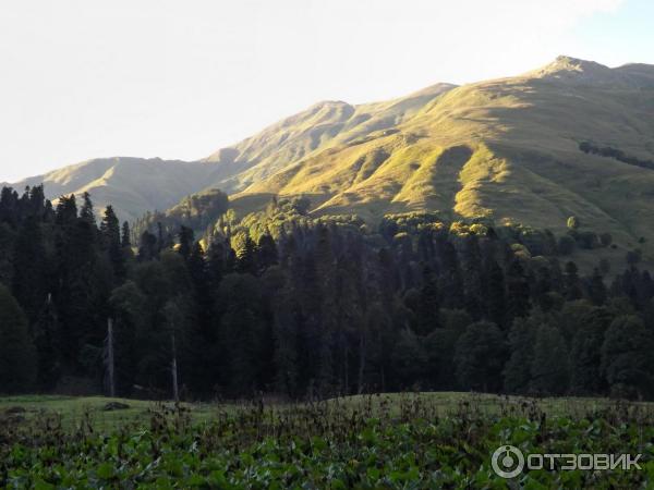 Экскурсия на Альпийские луга (Абхазия, Гудаутский район) фото