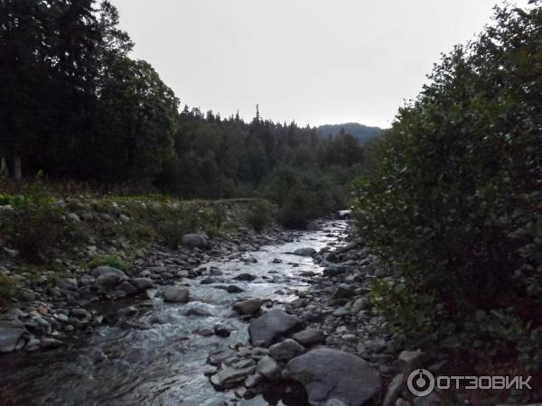 Экскурсия на Альпийские луга (Абхазия, Гудаутский район) фото