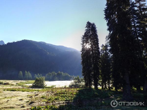 Экскурсия на Альпийские луга (Абхазия, Гудаутский район) фото