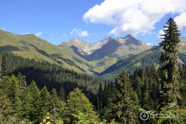 Озеро Мзы (Абхазия) фото