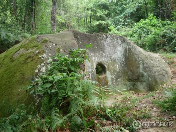 Тебердинский заповедник (Россия, Карачаево-Черкессия) фото