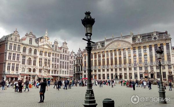 Площадь Grand Place (Бельгия, Брюссель) фото