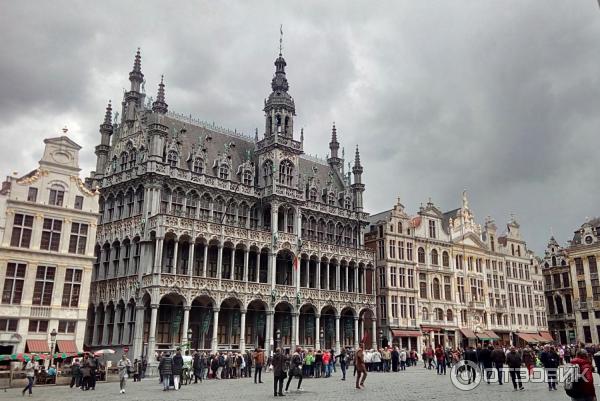 Площадь Grand Place (Бельгия, Брюссель) фото