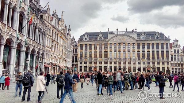 Площадь Grand Place (Бельгия, Брюссель) фото