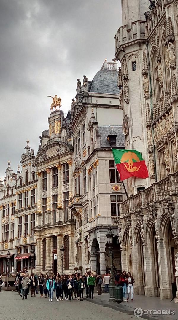 Площадь Grand Place (Бельгия, Брюссель) фото