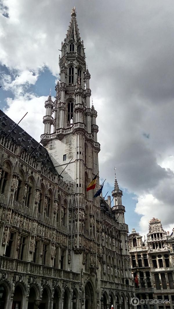 Площадь Grand Place (Бельгия, Брюссель) фото