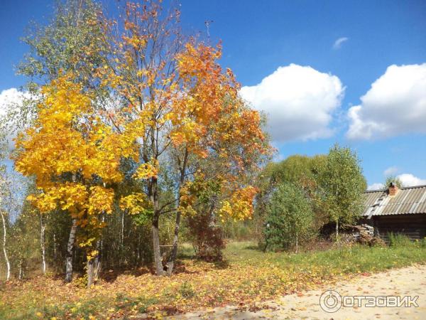 Ансамбль Храмов Троицы и Рождества Богородицы (Россия, Нижний Ландех) фото