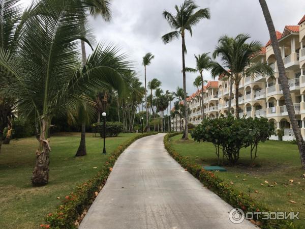 Occidental Caribe 4* (Доминикана, Пунта Кана) фото