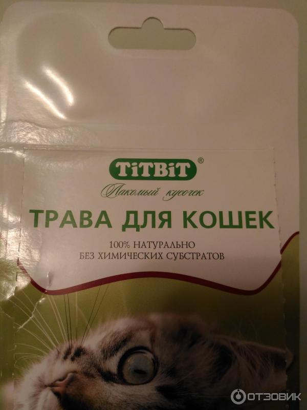 Трава для кошек TITBIT фото