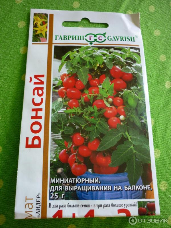 Томат Суперприз Отзывы Фото Урожайность