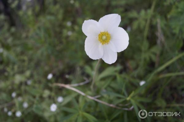 База отдыха Лазурит фото