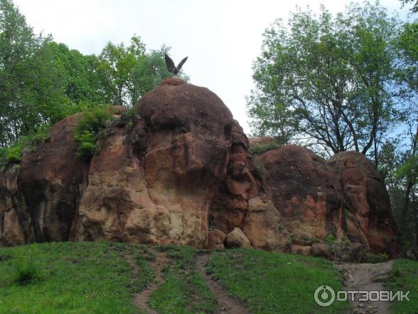 Отдых в г. Кисловодск (Россия) фото