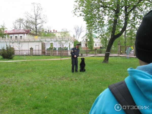 Парк имени Жилибера (Беларусь, Гродно) фото