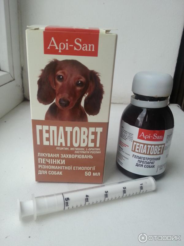 Что можно собаке обезболивающее. Гепатовет АПИ Сан. Таблетки для собак. Ветеринарные средства для собак. Ветеринарные уколы для собак.