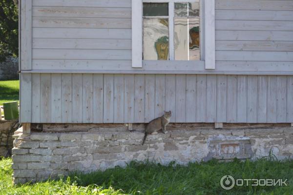 Изборская крепость (Россия, Изборск) фото