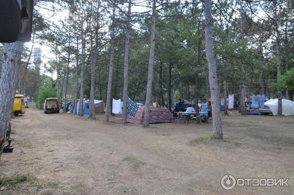 Кемпинг в крыму с палатками на машине с туалетом и душем у моря