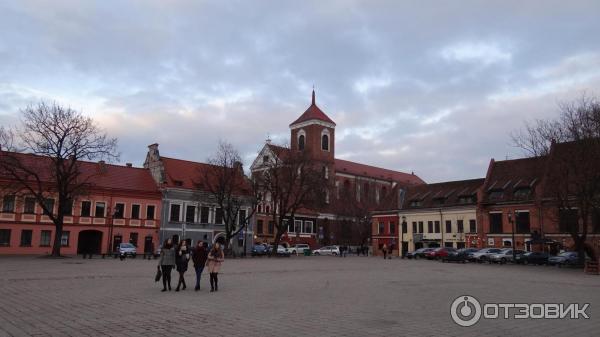 Город Каунас (Литва) фото