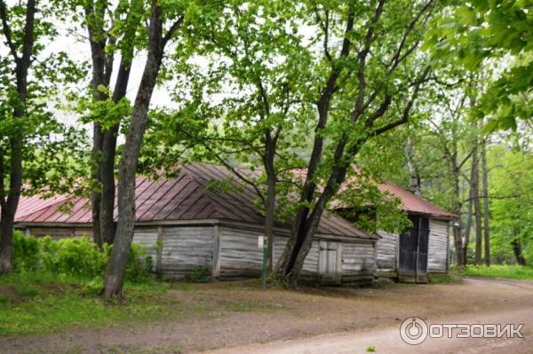 Ясная Поляна (Россия, Тульская область) фото