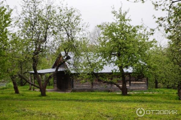 Ясная Поляна (Россия, Тульская область) фото