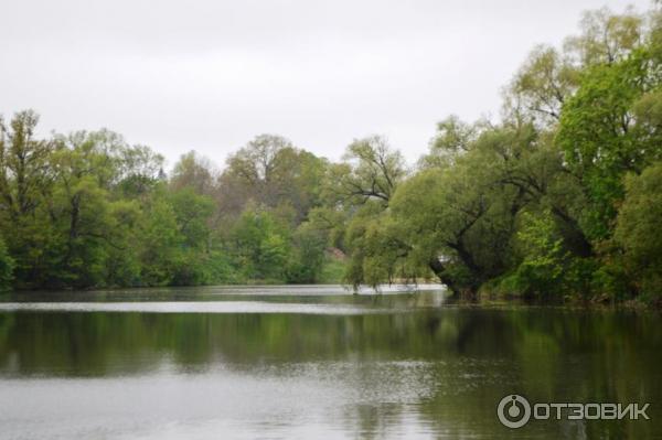 Ясная Поляна (Россия, Тульская область) фото