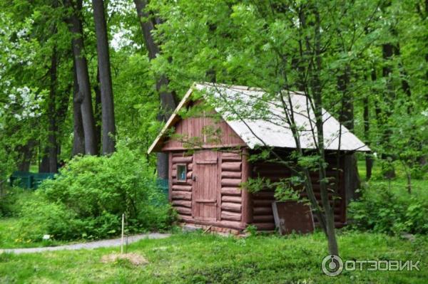 Ясная Поляна (Россия, Тульская область) фото